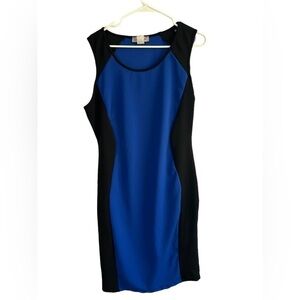 Love Andrea Sleeveless Dress • Size: XL• Used